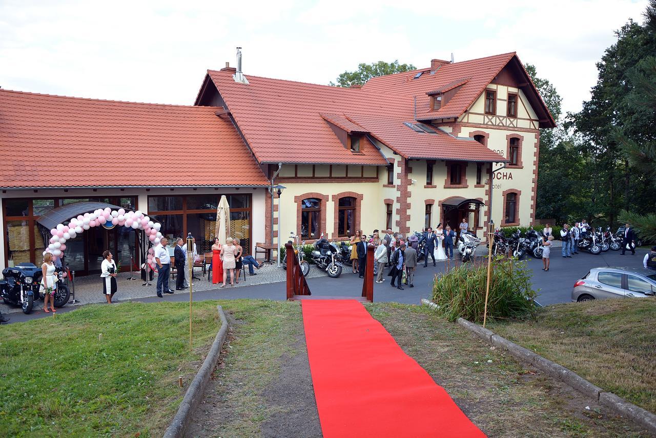 Czocha-Camping Leśna Zewnętrze zdjęcie