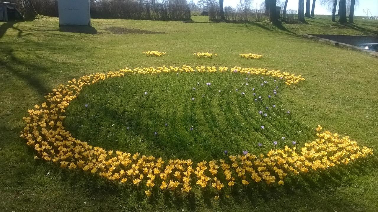 Czocha-Camping Leśna Zewnętrze zdjęcie